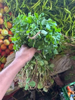 Methi Bhaji - 1 Bunch
