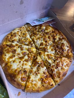 Plain Cheese Pizza