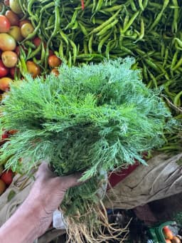 Soya Bhaji - 1 Bunch