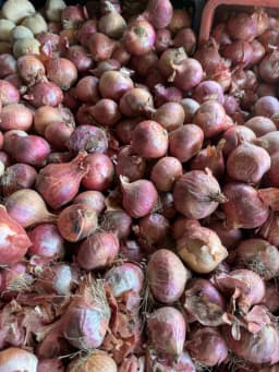 Onion - 500 gm