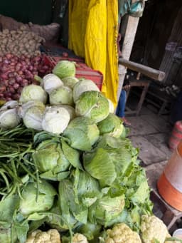 Patta Gobi (Cabbage) - 1 Bunch