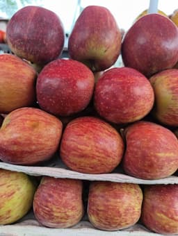 Apple - 1 Kg