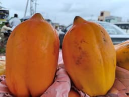 Papaya