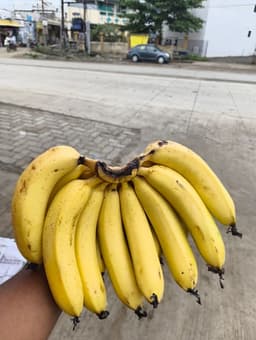 Banana - 12 pc (Dozen)