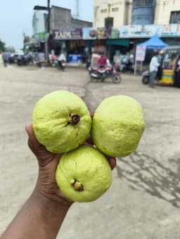 Guava (Kalam) - 1 Kg