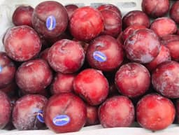 Plum (Imported) - 500 gm