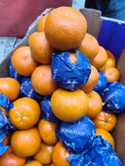 Orange - African Gold