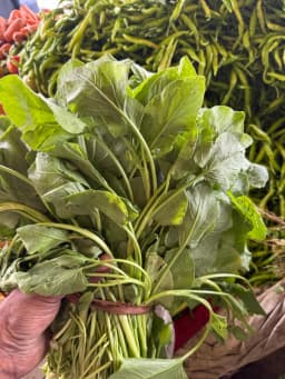Palak Bhaji - 1 Bunch