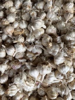 Laisan (Garlic) - 500 gm